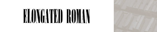 115_elongated_roman